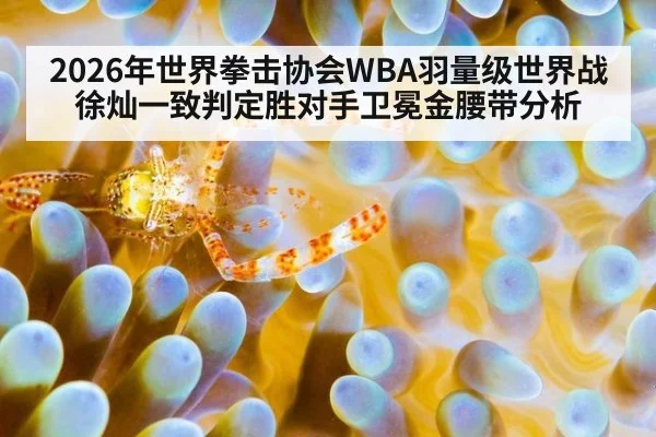2026年世界拳击协会WBA羽量级世界战徐灿一致判定胜对手卫冕金腰带分析