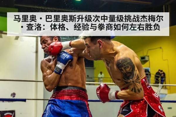 马里奥·巴里奥斯升级次中量级挑战杰梅尔·查洛:体格、经验与拳商如何左右胜负